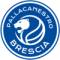 Брешиа Леонесса