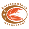 Коррекаминос Виктория
