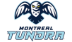 Монреаль Тундра