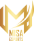 Misa