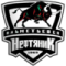 Нефтяник Альметьевск