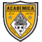Академика