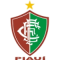 Флуминенсе ПИ U20