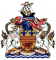 Кардифф Драконианс
