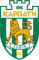 Карпаты U19