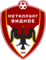 Металлург Видное