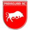 Парагвари