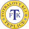 Теплице U19