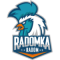Радомка Радом